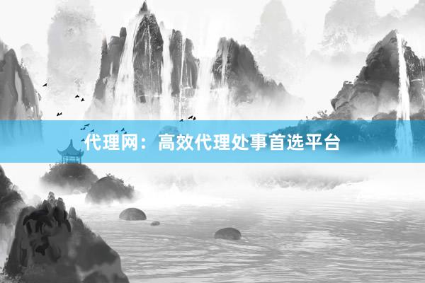 代理网：高效代理处事首选平台